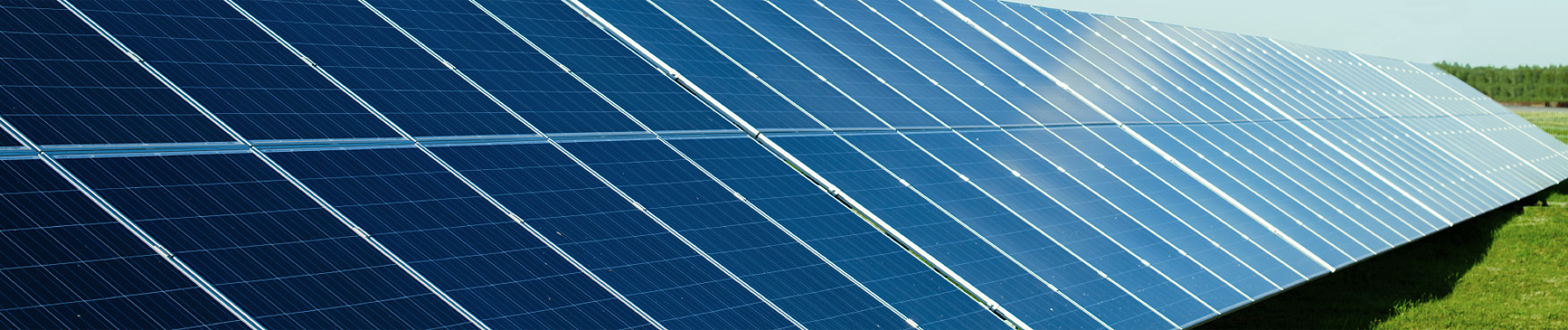 Wir achten auf unsere Umwelt